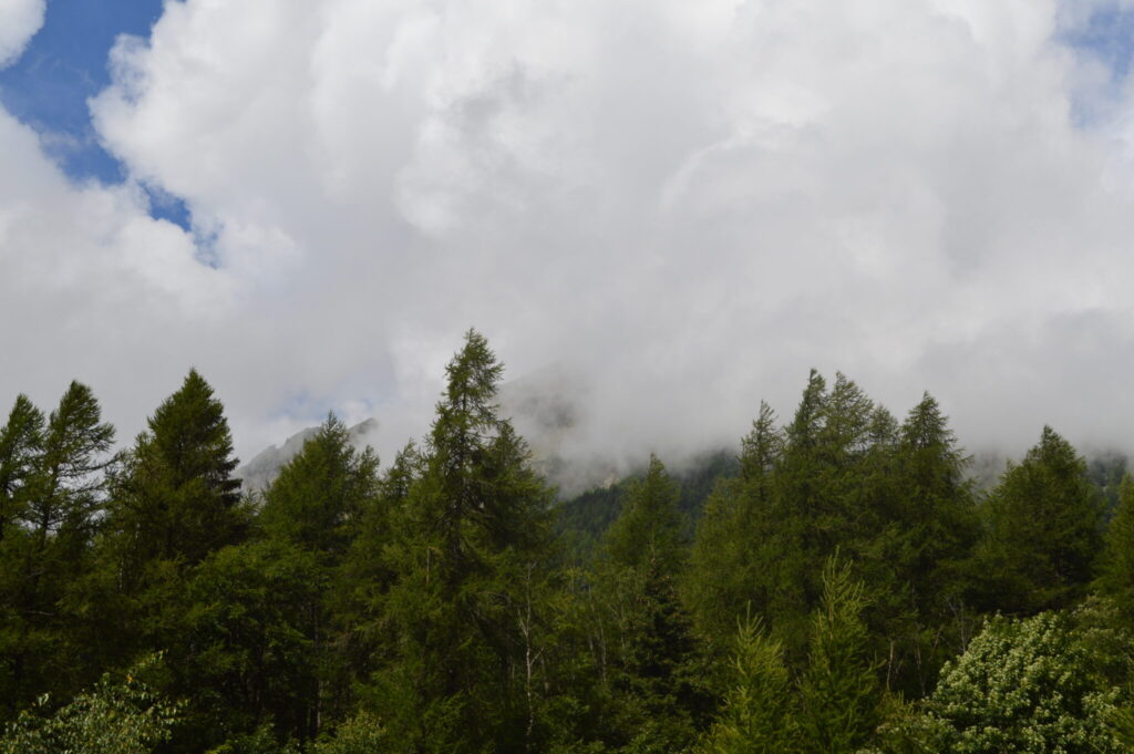 Appartamento in vendita Gressoney Saint Jean - Giugler Immobiliare